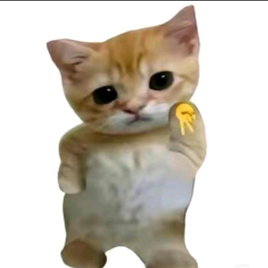小柔大王