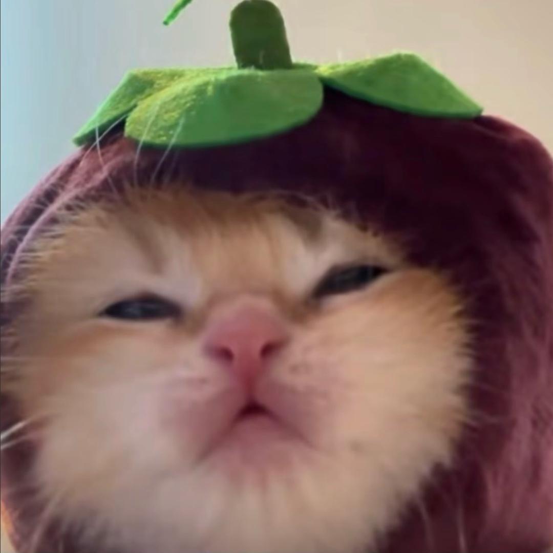 🧊