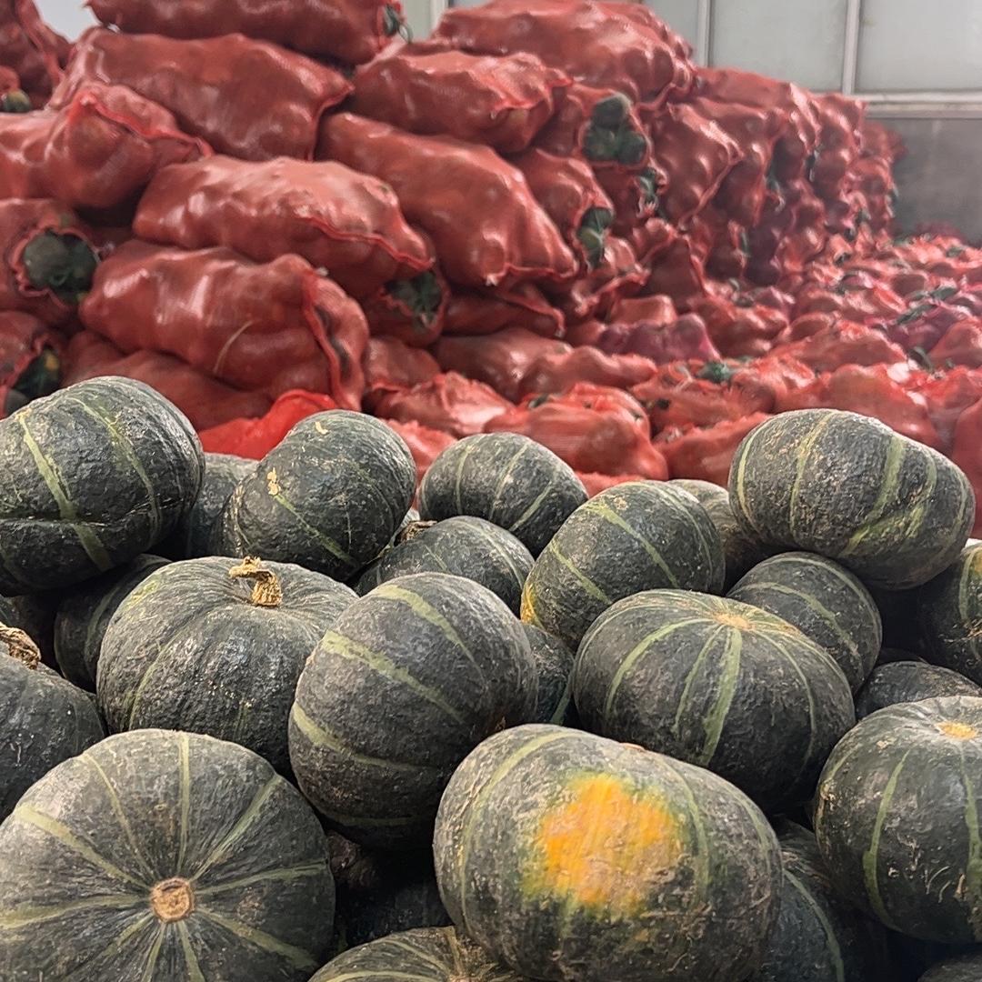 智朋供应链严选