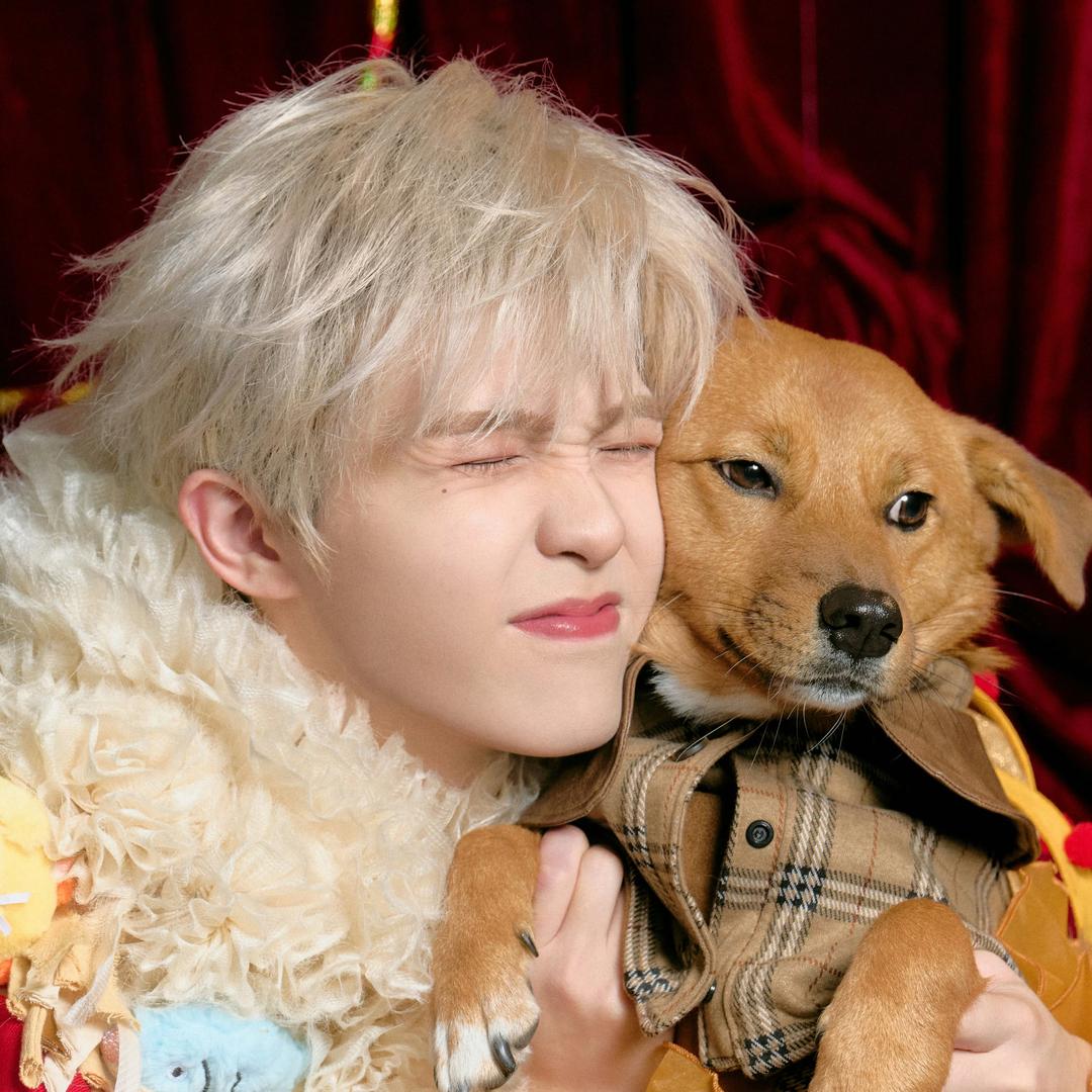 鱼块（见过十个勤天被李耕耘饭撒版）