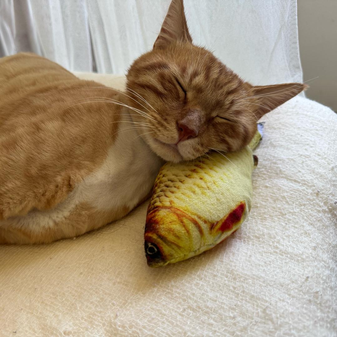 超级无敌大富婆