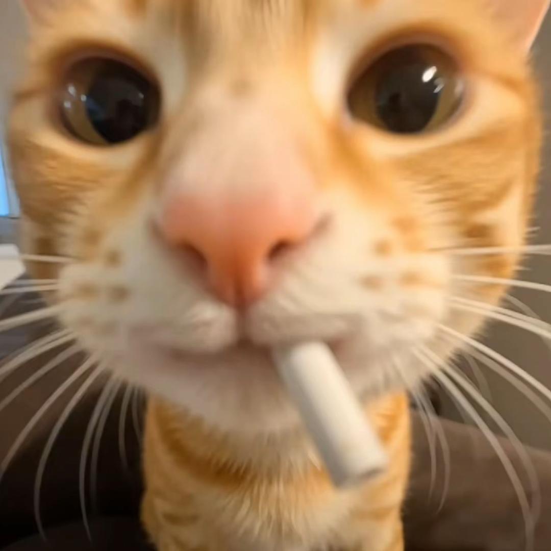 楽_楽