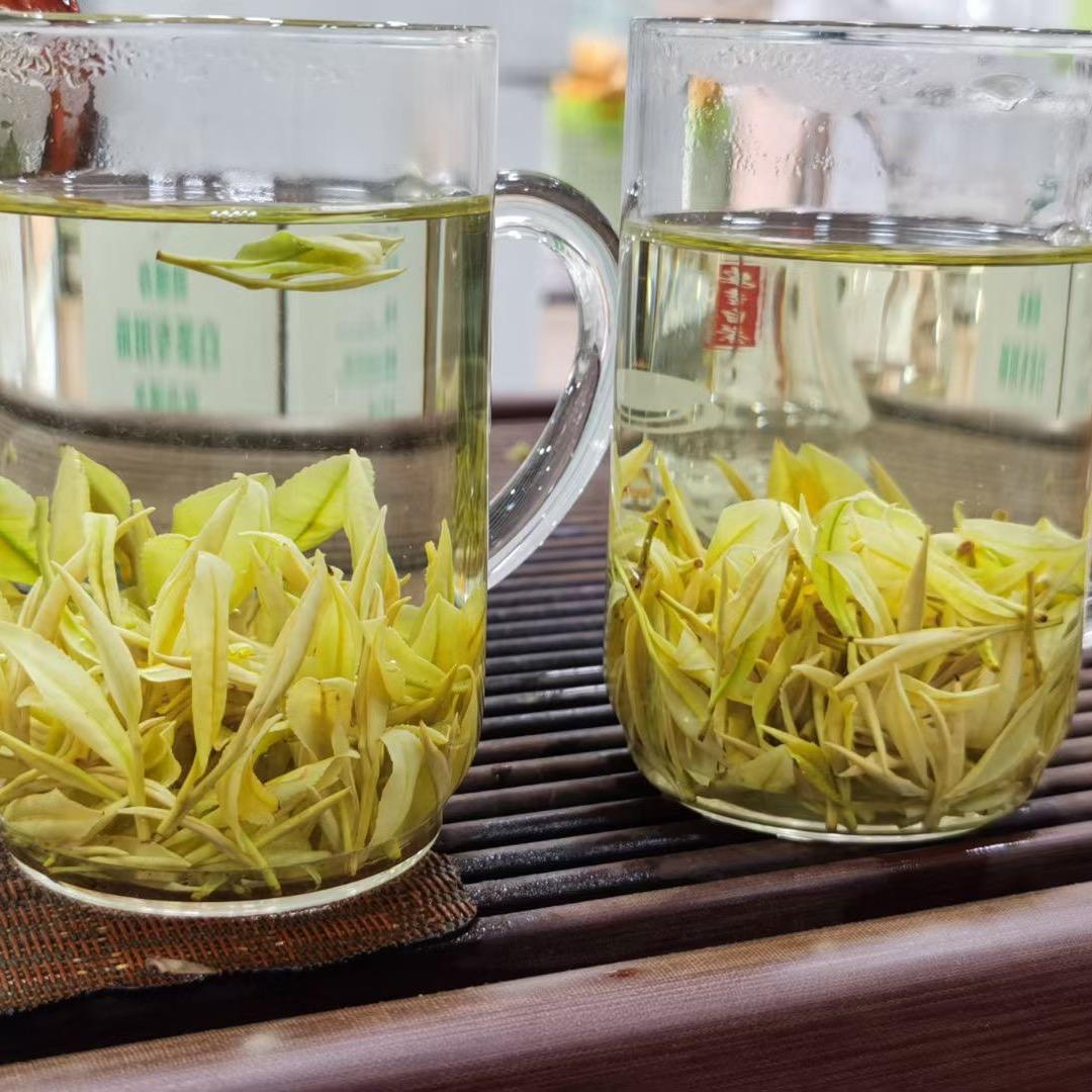 徽苑茗茶