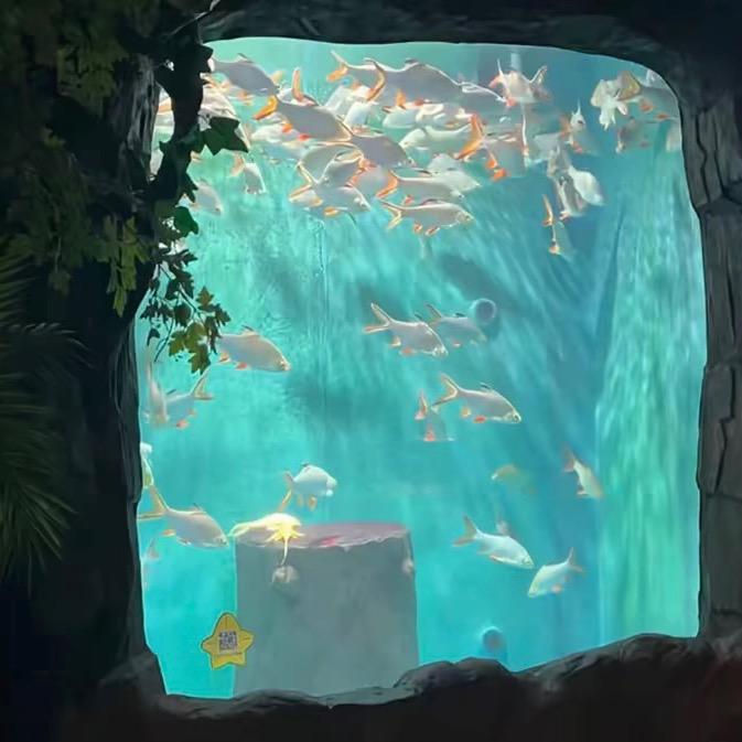 胖墩墩🦧