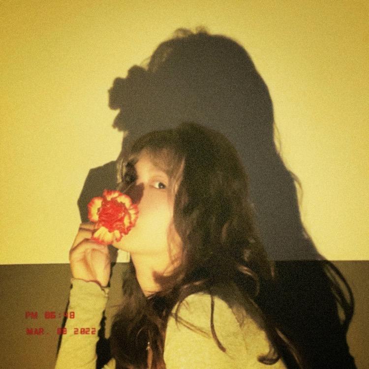 不熬夜了🫡