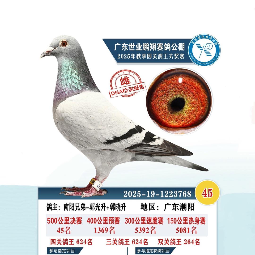 南阳兄弟-郭晓升