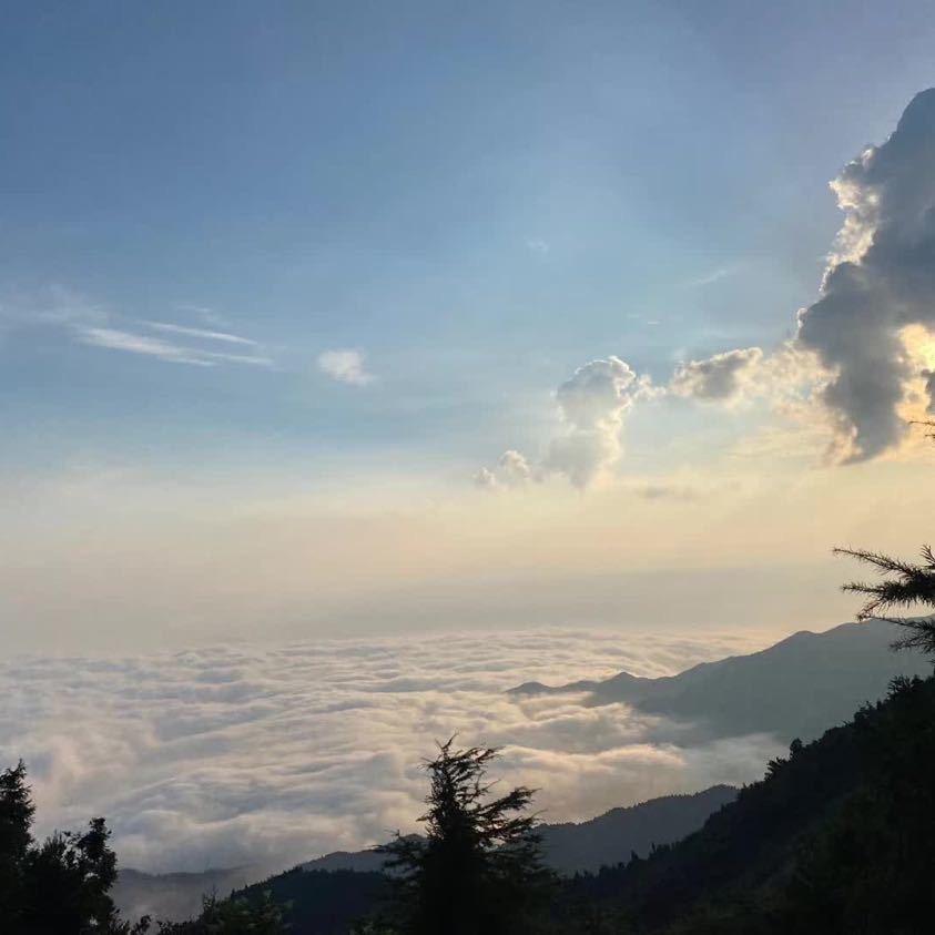 陋哥