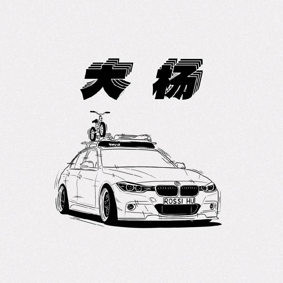 长春大杨二手车