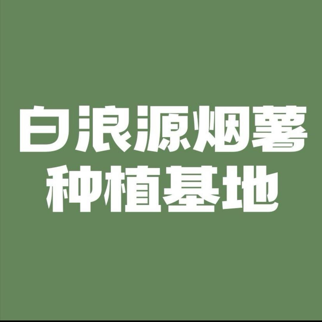白浪源烟薯种植基地