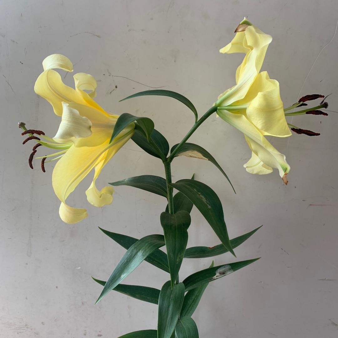 🌈h a v e a s w e e