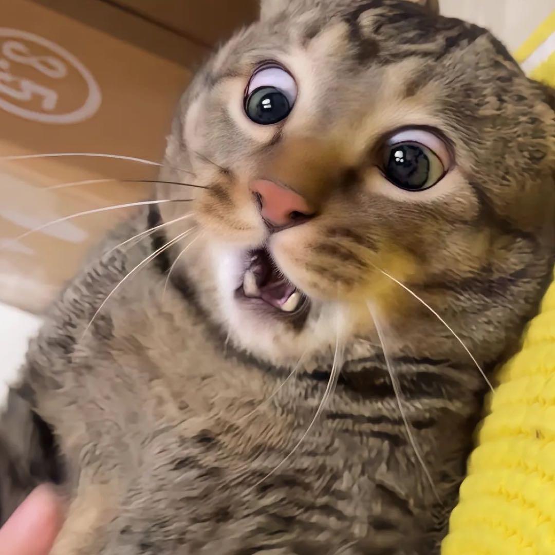 甄缘复阖商务信息咨询服务