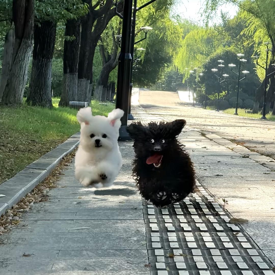 .我的奥特曼.