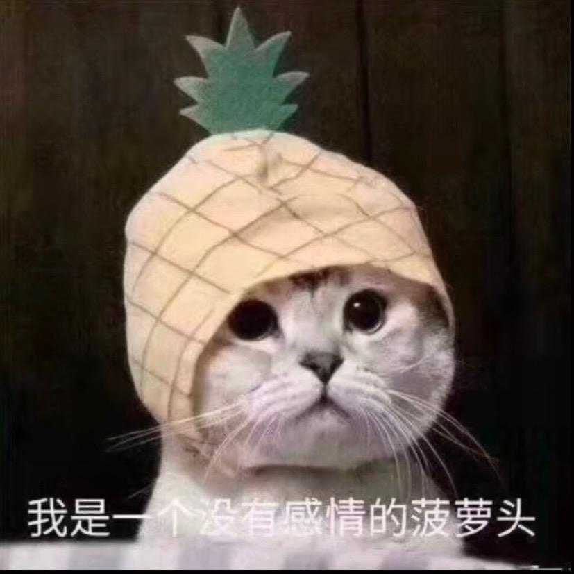 随便取个名字吧