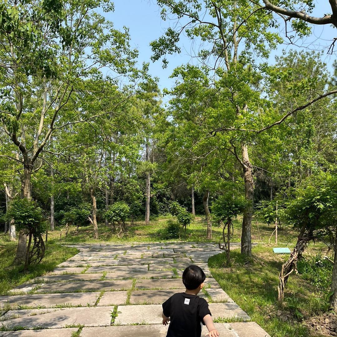 奥力奥