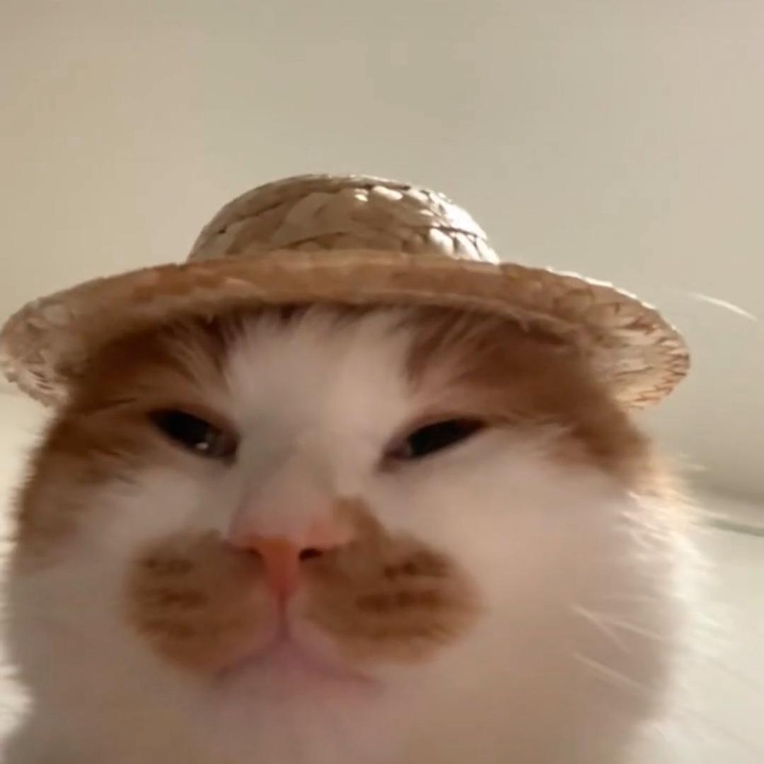 我爱吃西红柿炒鸡蛋