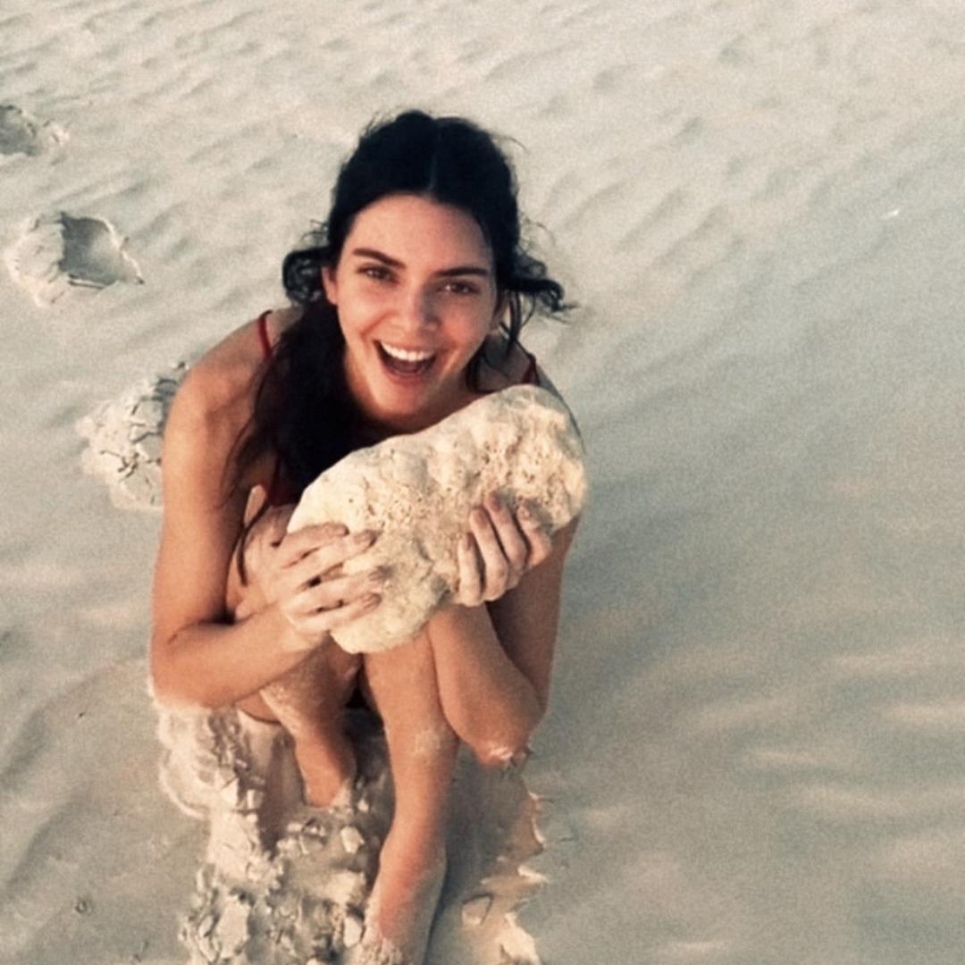 露露王（目标105