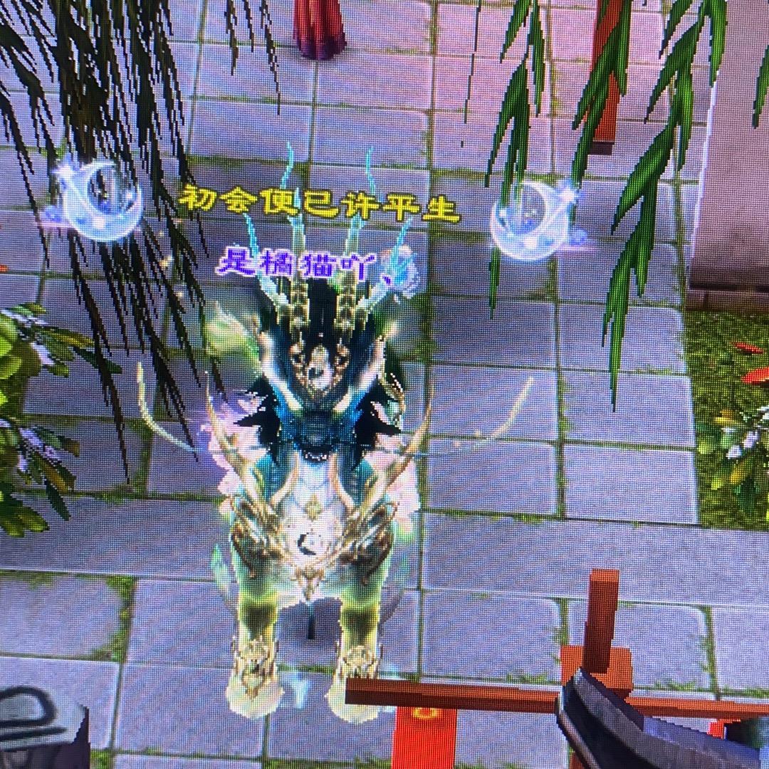 是橘猫呀、