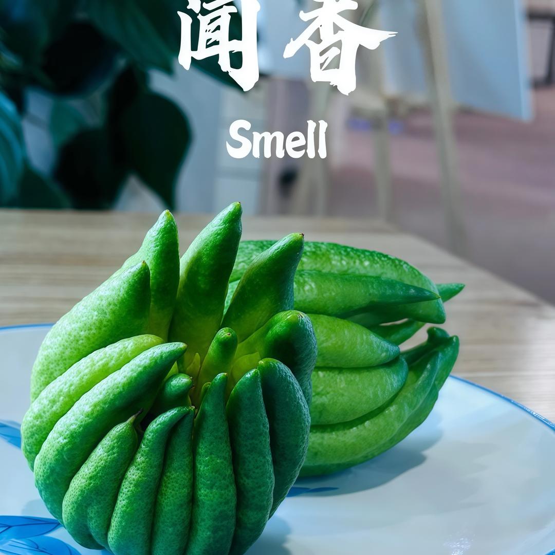 云滇鲜萃花果园