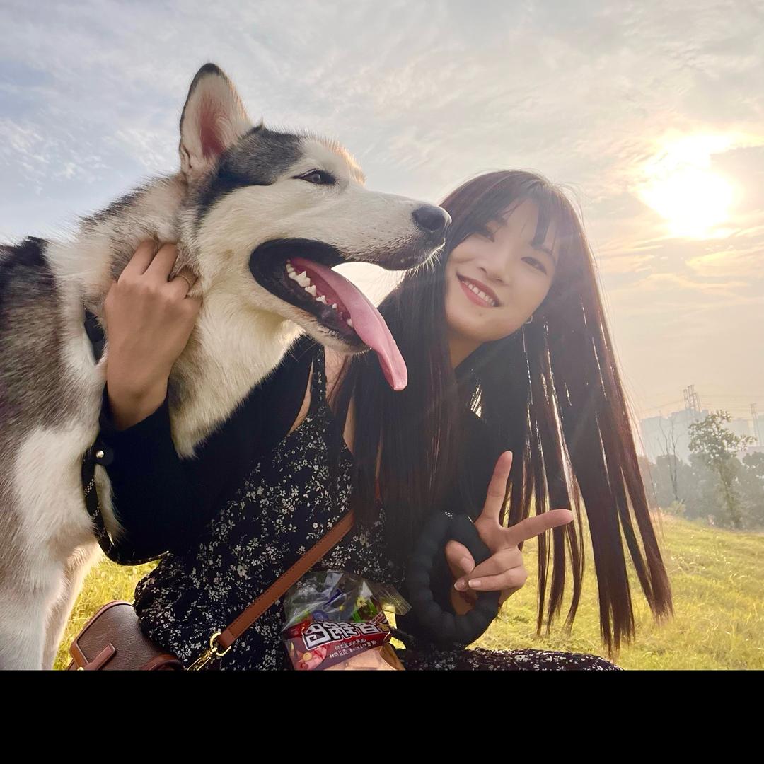 阿呆呆的御用画师