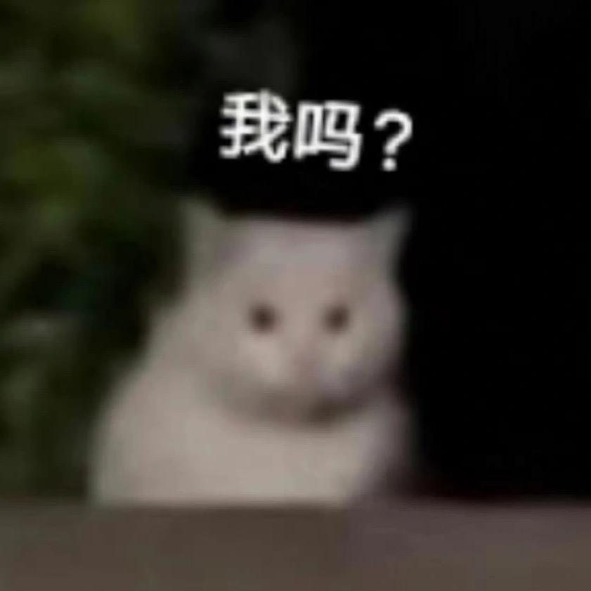 麦小猪^