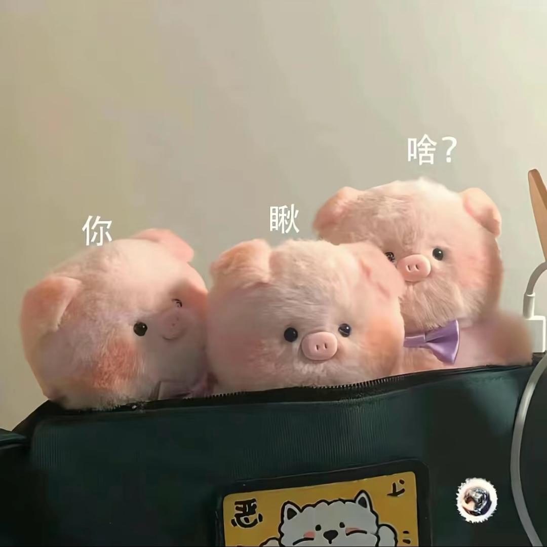 睡眠艺术家