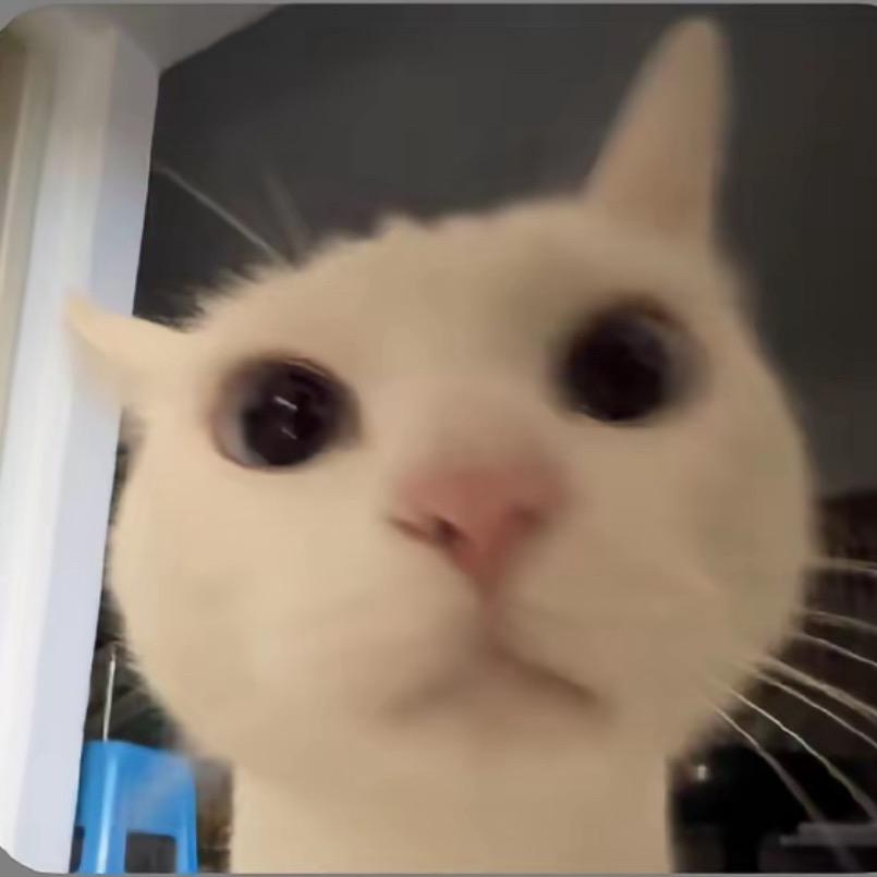 你的龙王大人