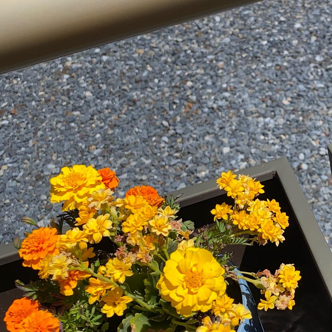 瓷砖仓储