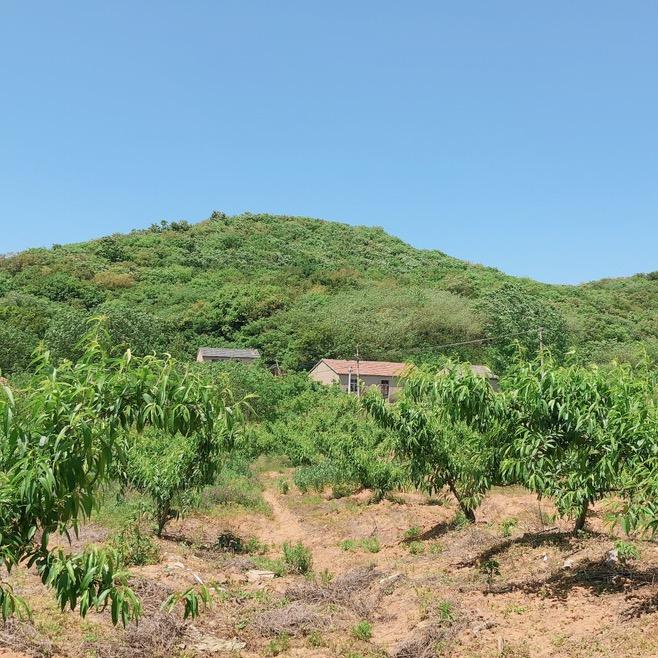 王者无敌，反迷你世界