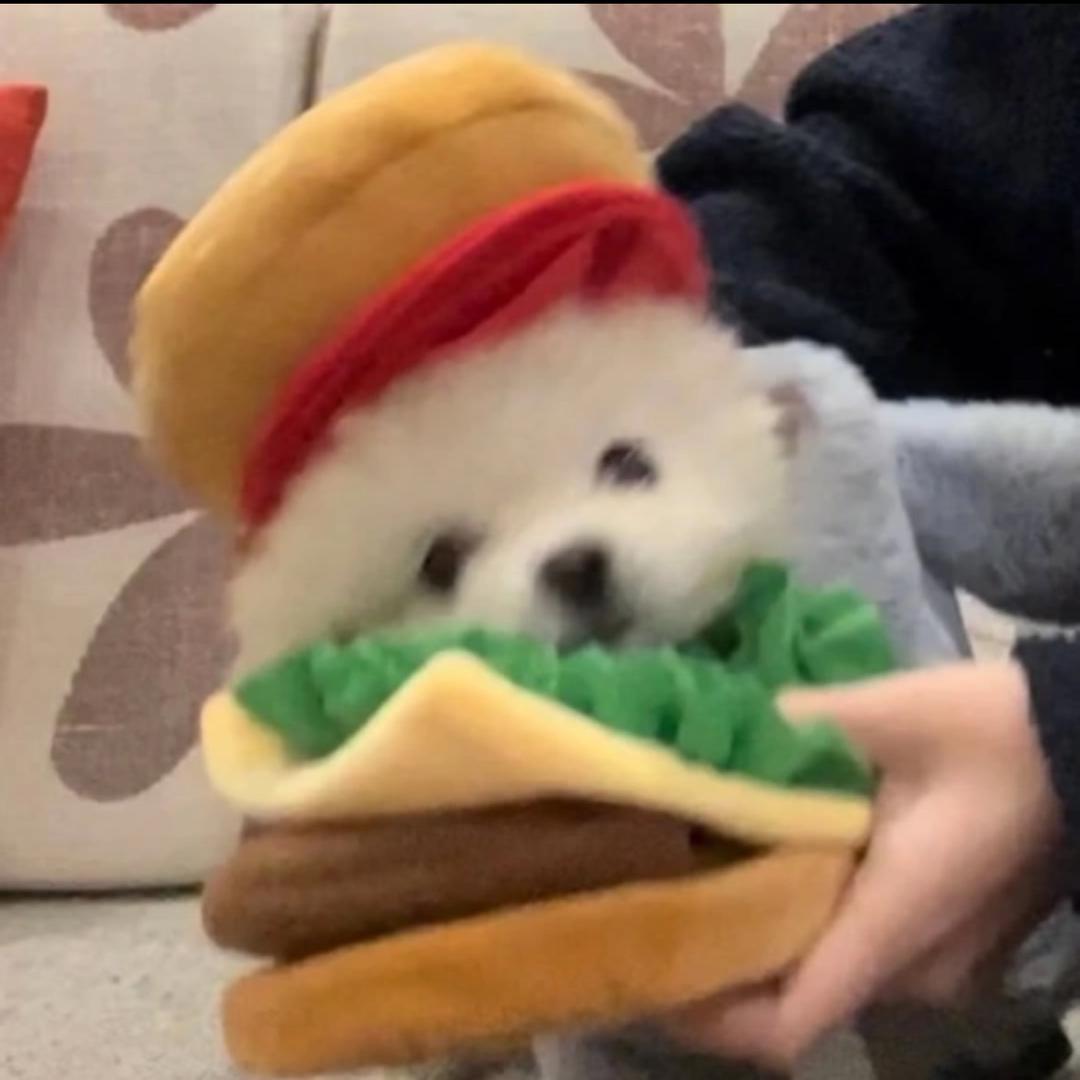 汉堡也是宝