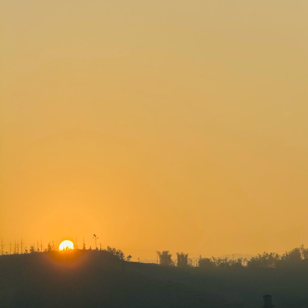 惠惠生活美学家