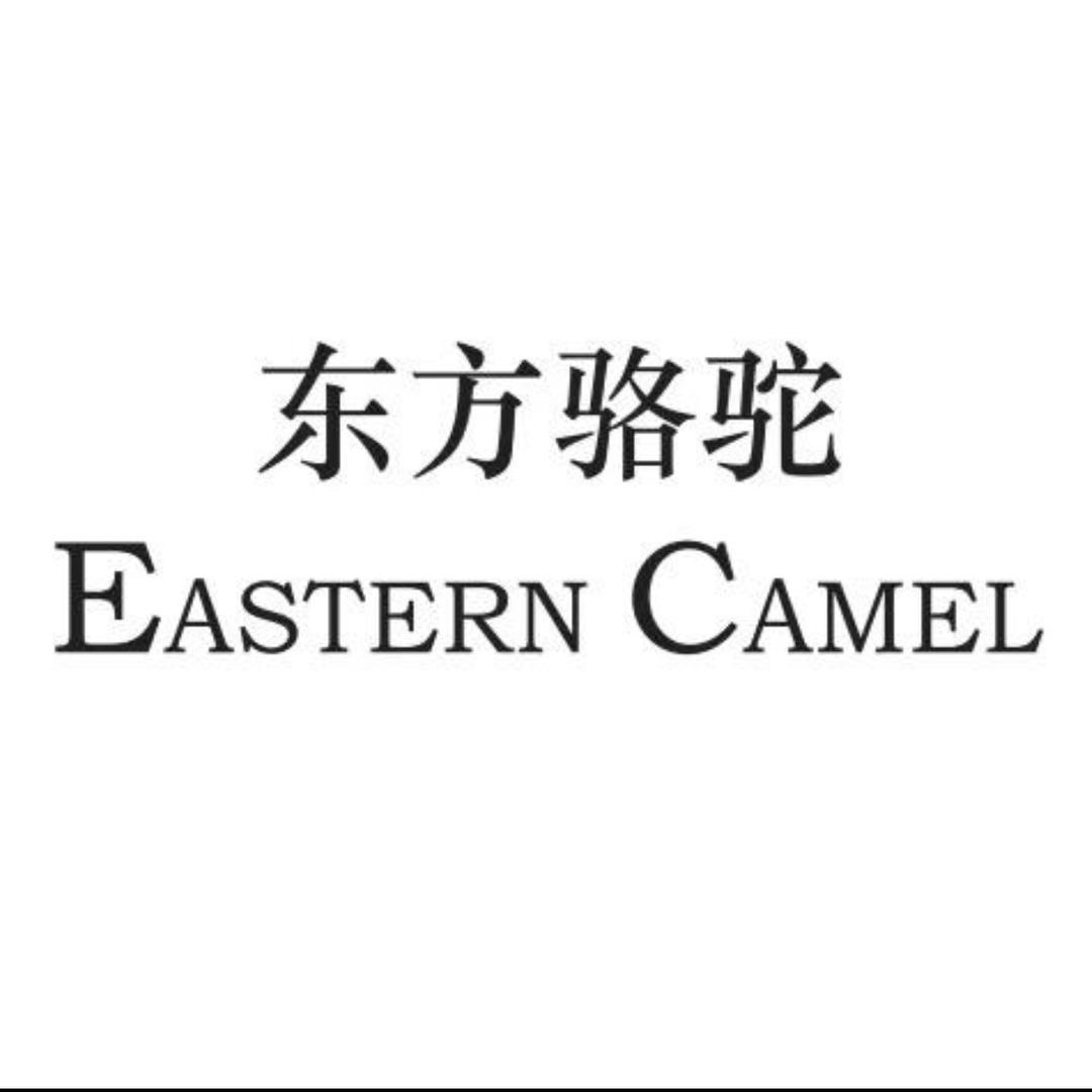 东方骆驼女鞋现货仓