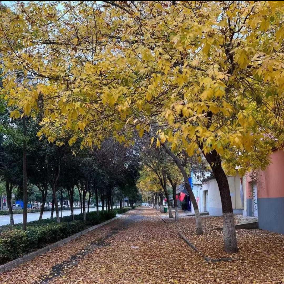 信仰123
