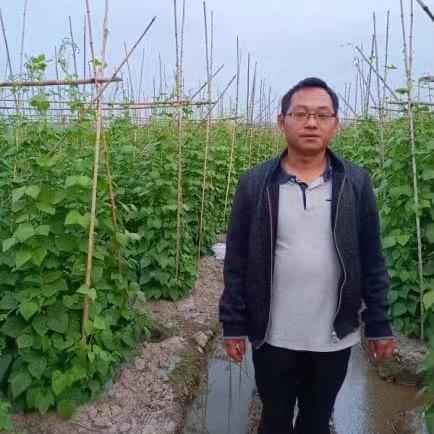 建水希望种子-王哥