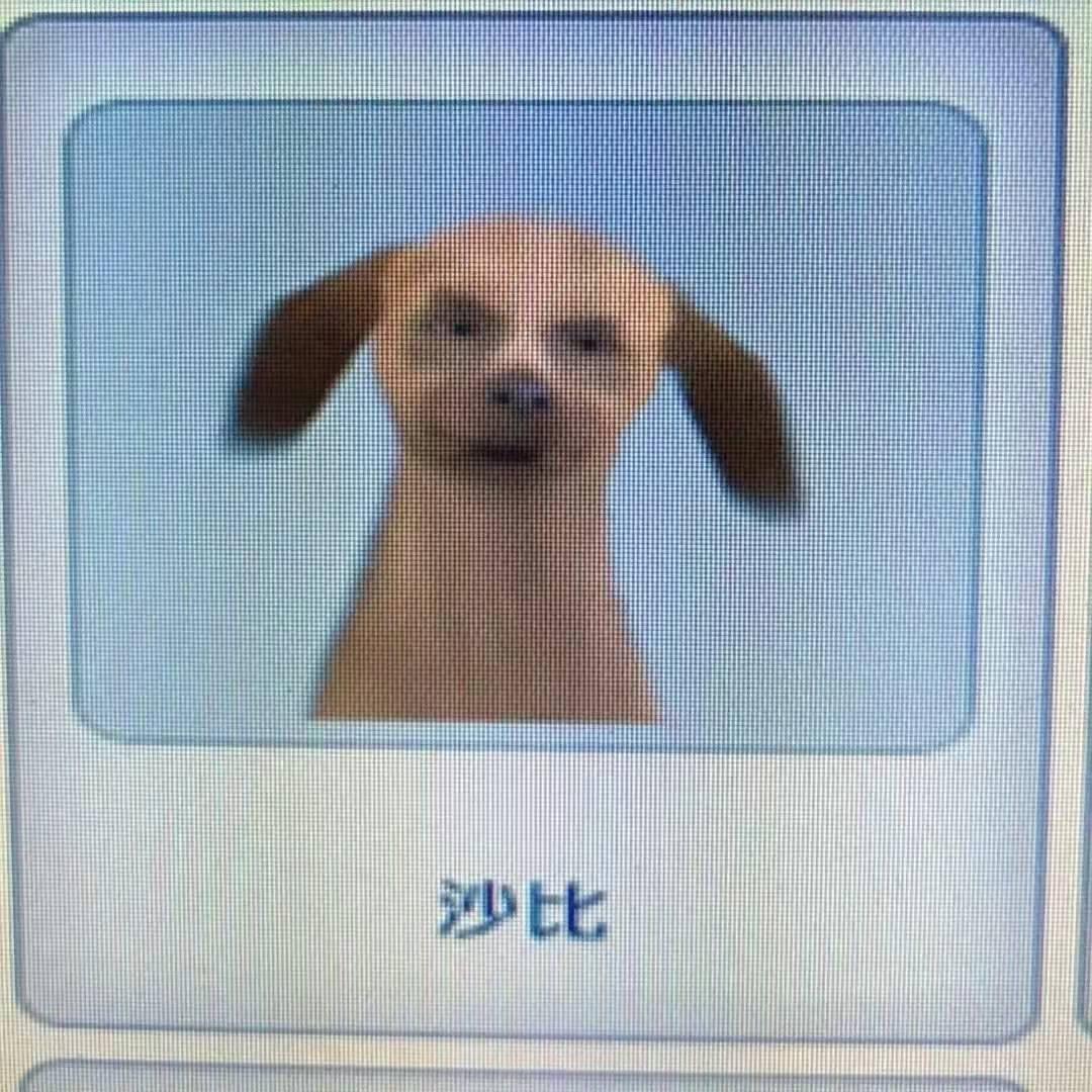 :(zzz