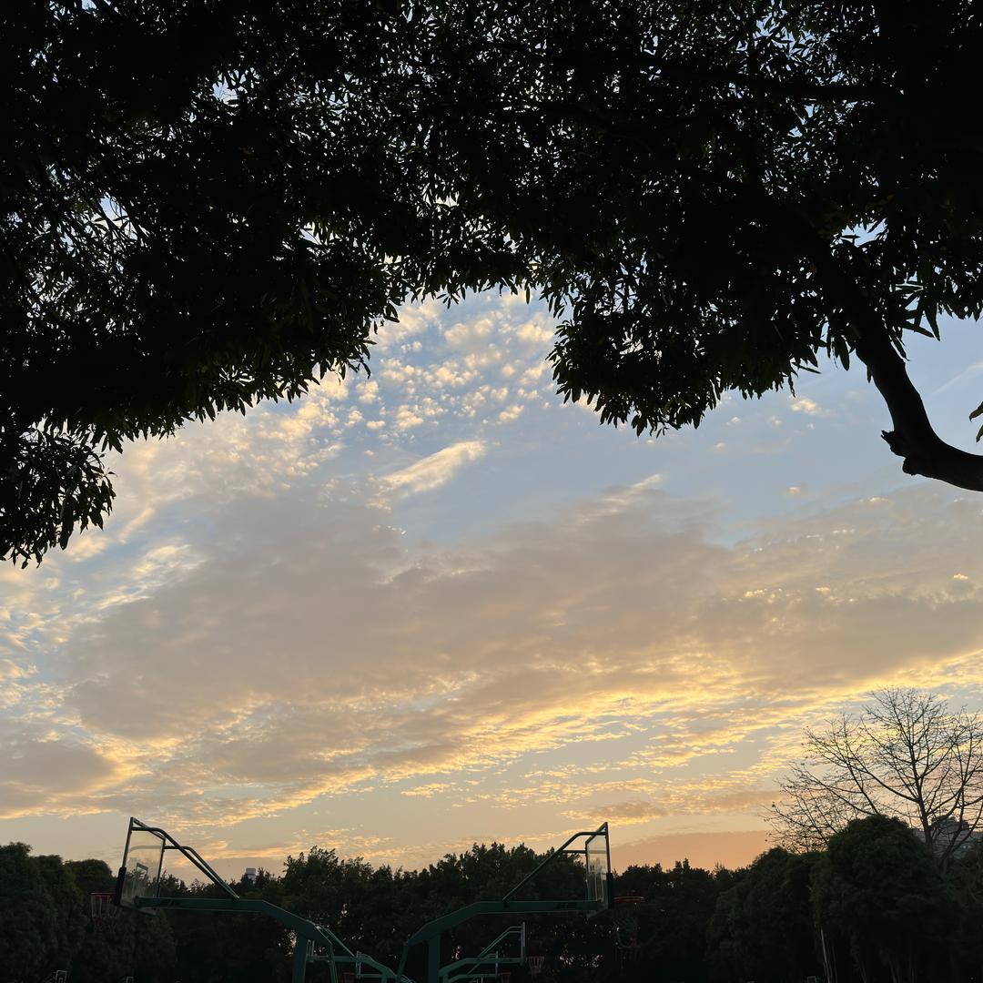 反复确认：还是手机好玩