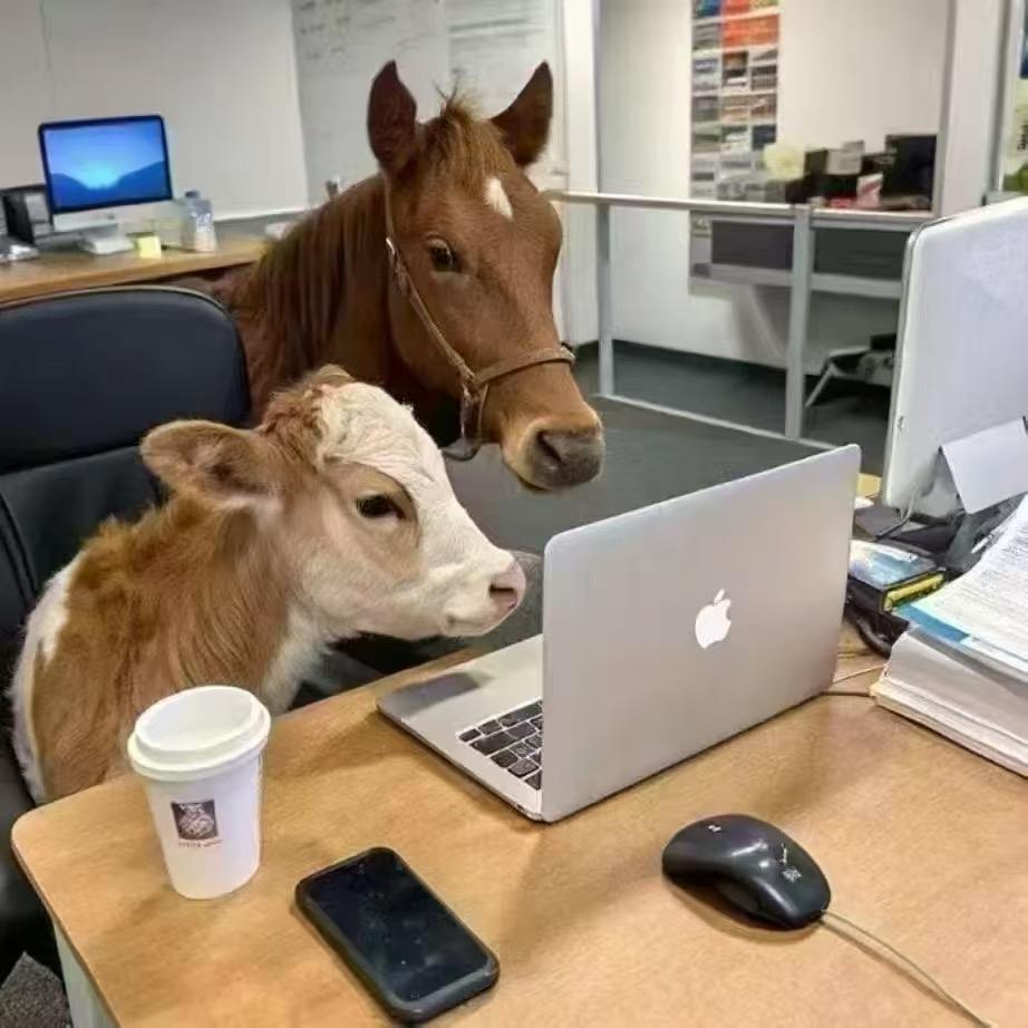 欧果全屋定制—小超