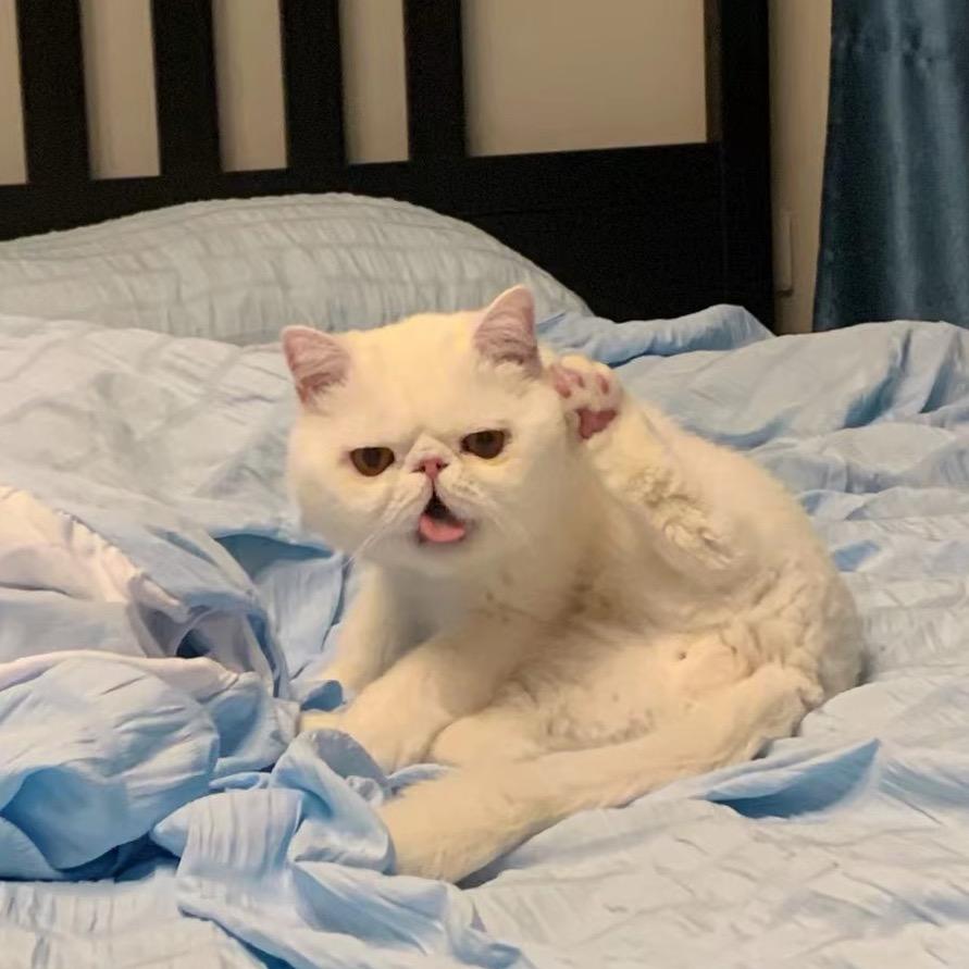 槿一（互关必回 永不取关 永不删）