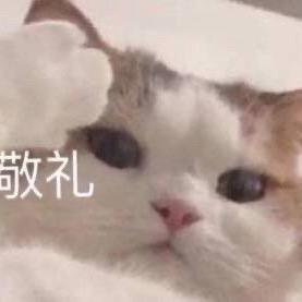 小槑
