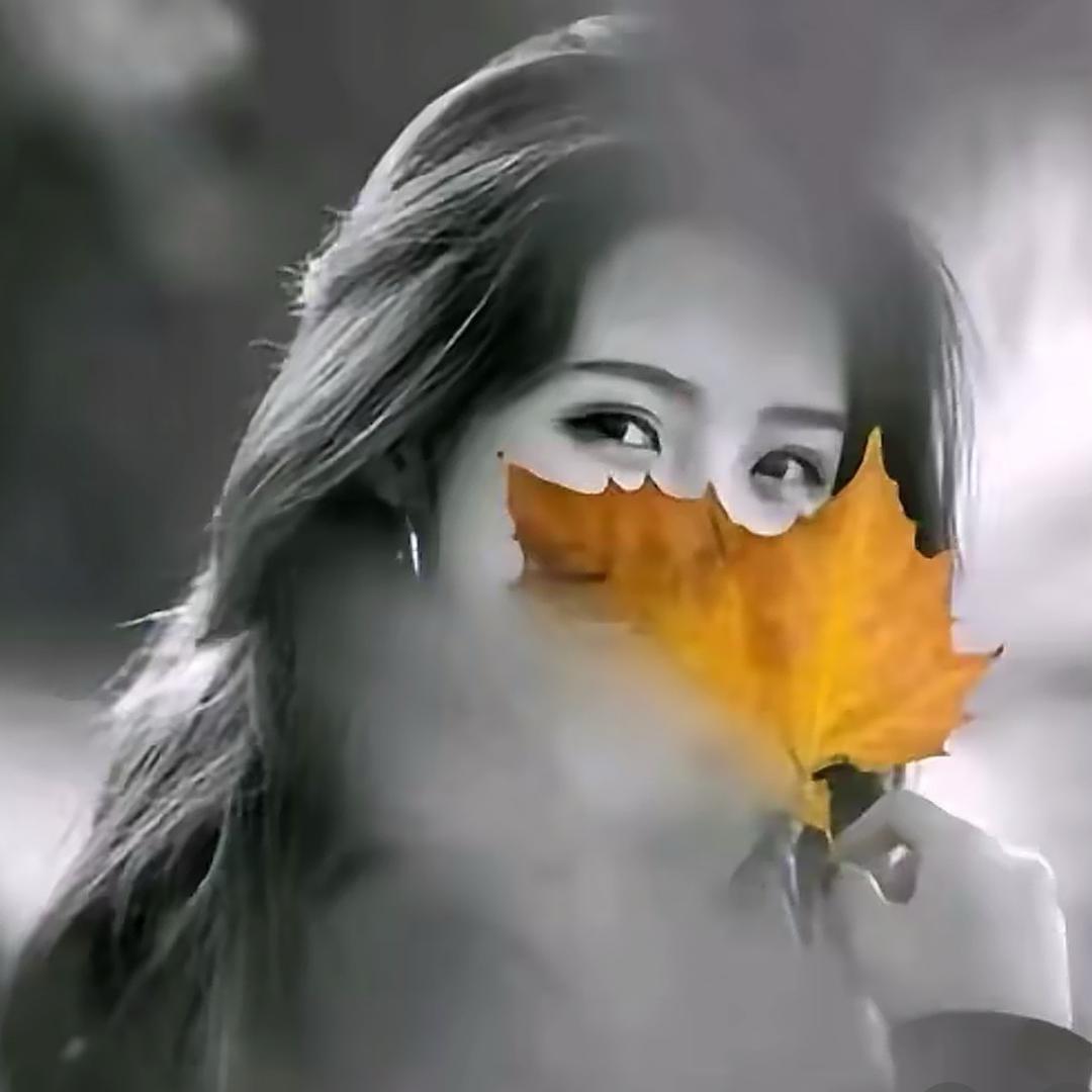 ༼ དོང་་་་ལོ ༽