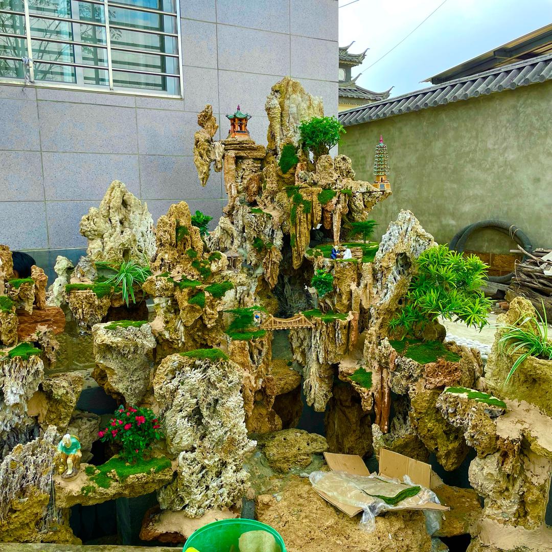 毛豆园林景观
