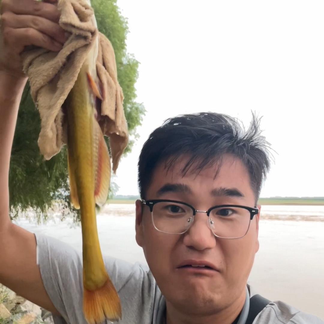 怼总钓鱼