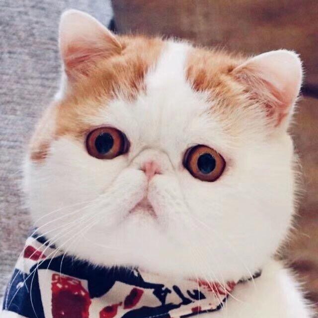 青鸾