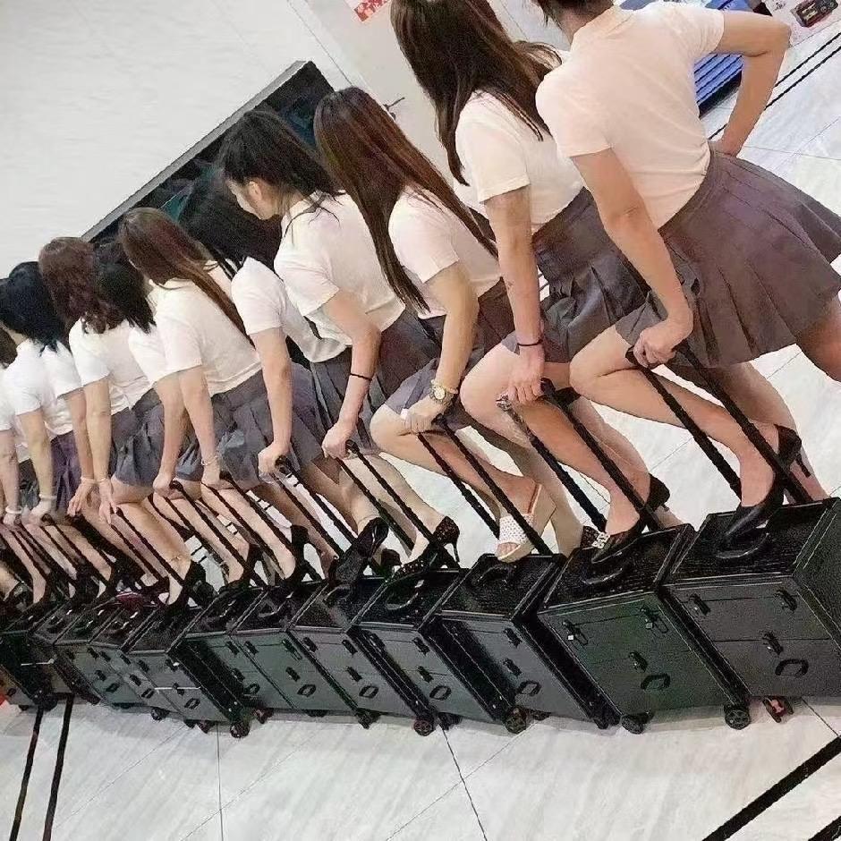朕是小萌猪