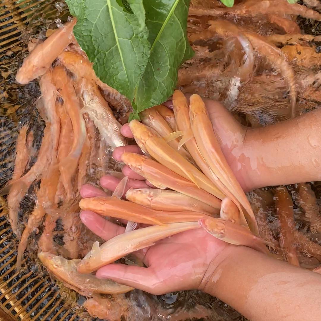 林林水产