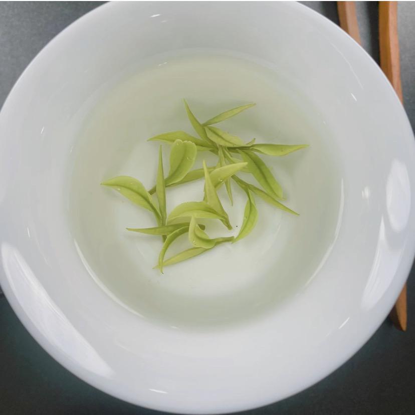 安吉五妹茶场