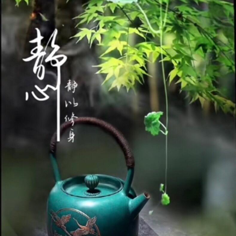 💮CHANG-YIN