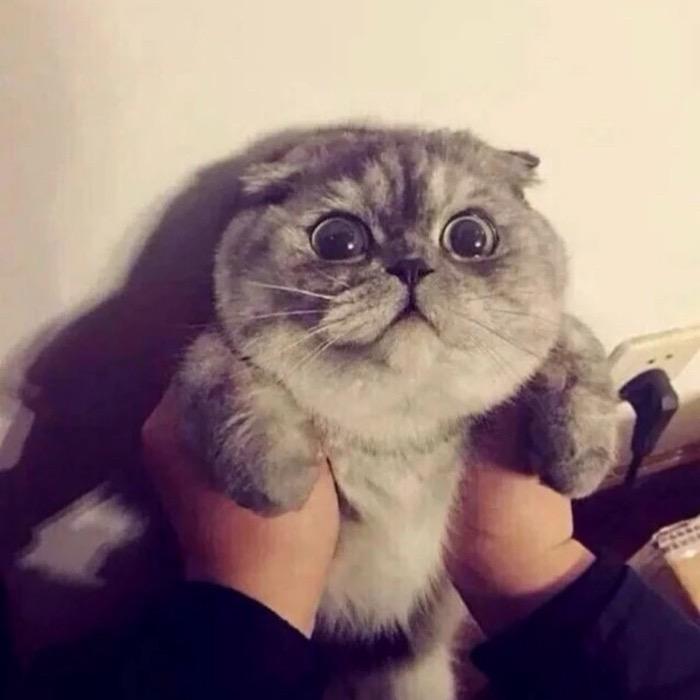 今天也没吃早饭