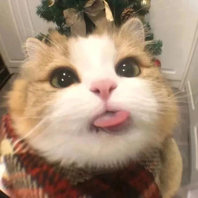 Zz杰伦.