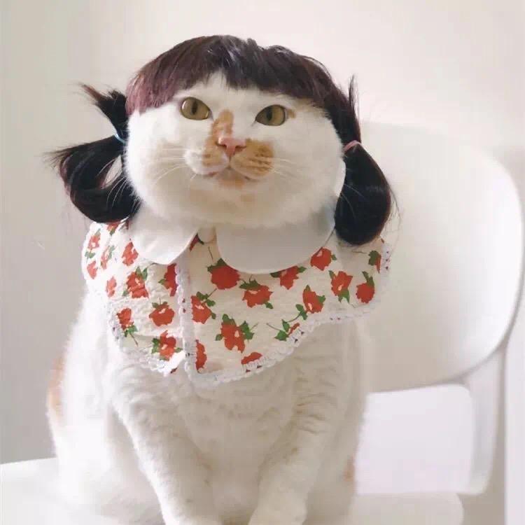 财神爷心尖上的美丽小富婆(❤️💰💰)