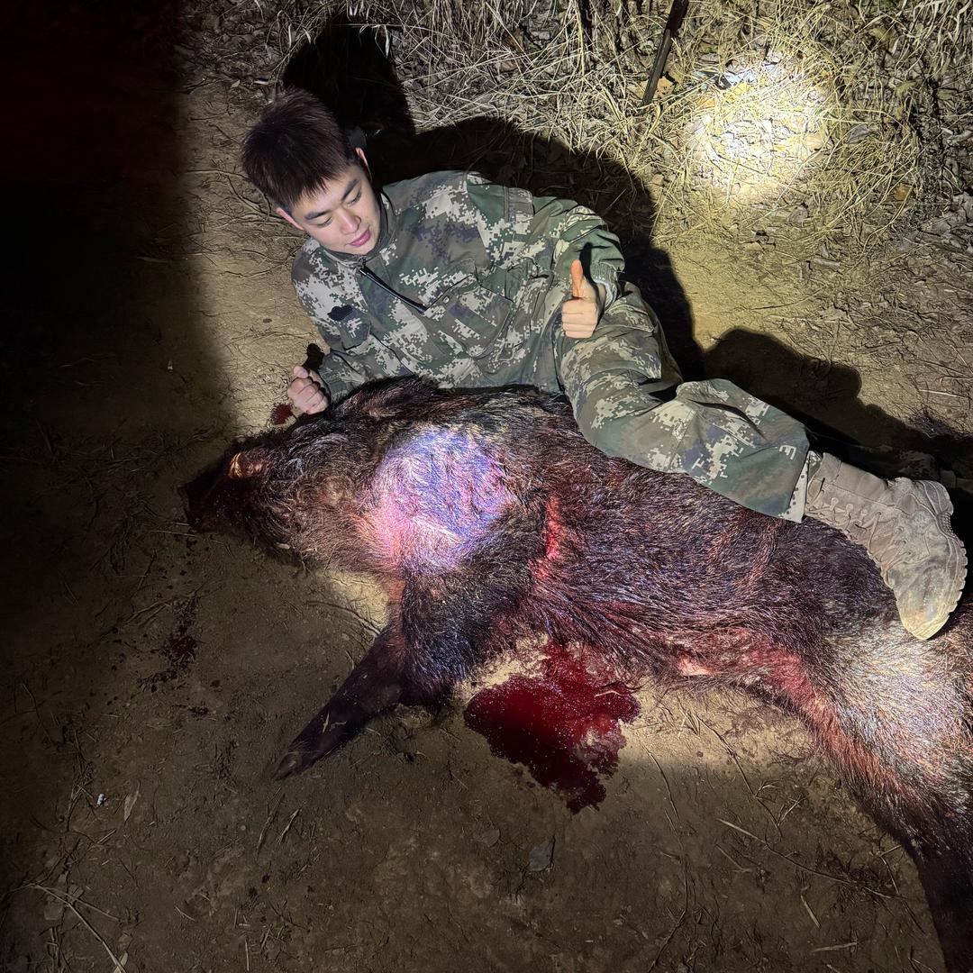 金陵利刃—小严